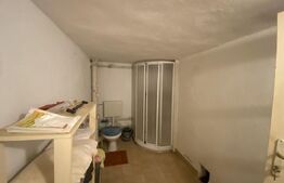 Casă spațioasă 350 mp utili, curte amenajată și garaj