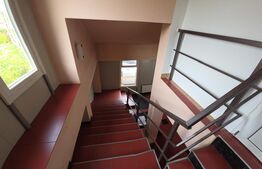 Spațiu multifuncțional de vânzare – Cetan, Comuna Vad