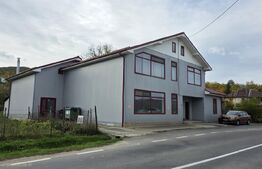 Spațiu multifuncțional de vânzare – Cetan, Comuna Vad