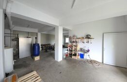 Spațiu multifuncțional de vânzare – Cetan, Comuna Vad