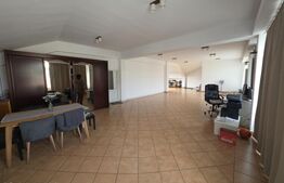 Spațiu multifuncțional de vânzare – Cetan, Comuna Vad