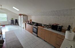 Spațiu multifuncțional de vânzare – Cetan, Comuna Vad