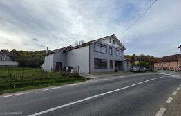 Spațiu multifuncțional de vânzare – Cetan, Comuna Vad
