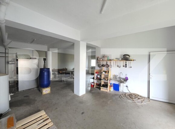 Spațiu comercial de vânzare Exterior Est - 180471SVC | BLITZ Dej | Poza12