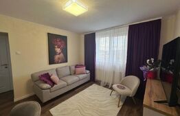 Apartament modern de 3 camere, complet renovat, zona Standard 