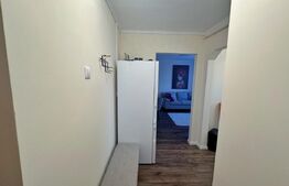 Apartament modern de 3 camere, complet renovat, zona Standard 