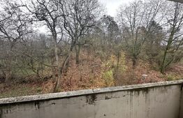 Apartament de închiriat, 2 camere, zona Pijamaua