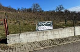 Teren de vanzare, Zona linistita, ideal construire