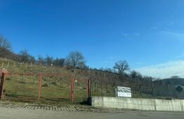 Teren de vanzare, Zona linistita, ideal construire