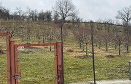 Teren de vanzare, Zona linistita, ideal construire