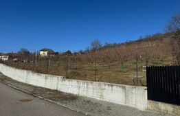 Teren de vanzare, Zona linistita, ideal construire