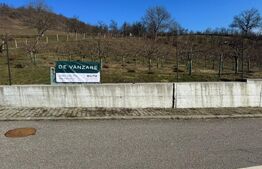 Teren de vanzare, Zona linistita, ideal construire