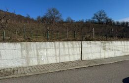 Teren de vanzare, Zona linistita, ideal construire