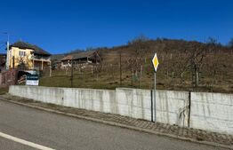 Teren de vanzare, Zona linistita, ideal construire