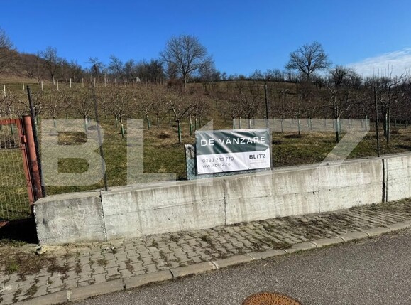 Teren de vânzare Nord-Vest - 188126TV | BLITZ Dej | Poza2