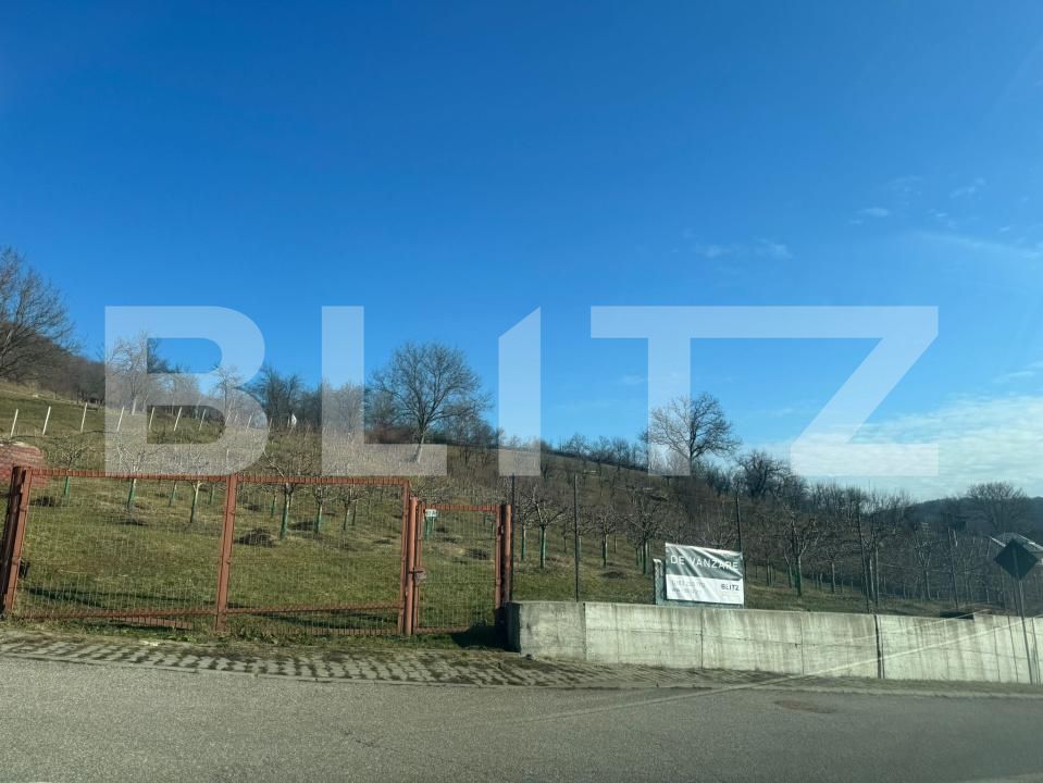 Teren de vânzare Nord-Vest - 188126TV | BLITZ Dej | Poza4