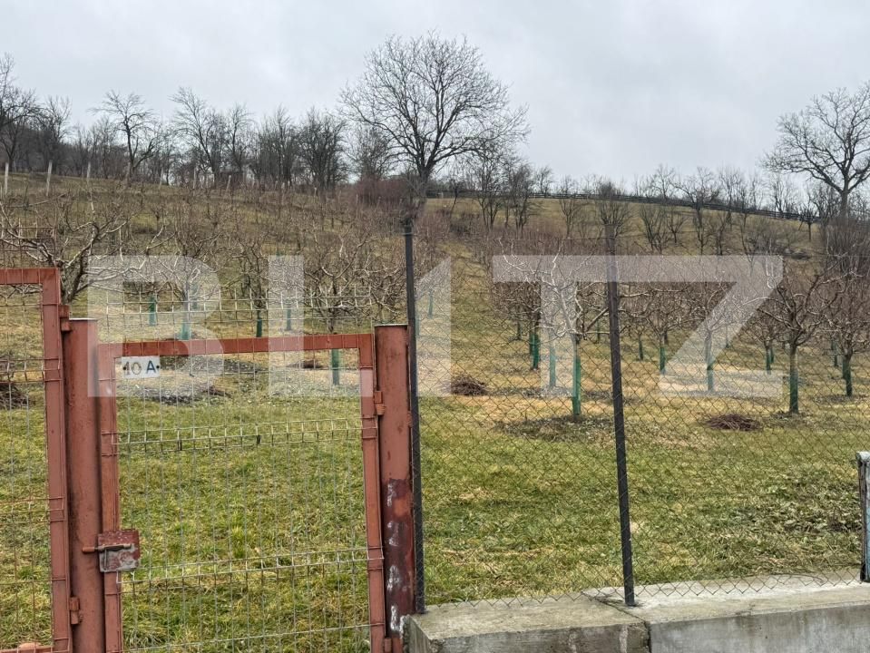 Teren de vânzare Nord-Vest - 188126TV | BLITZ Dej | Poza3