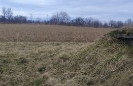  Oportunitate investițională – Casă cu teren extins in Comuna Geaca 