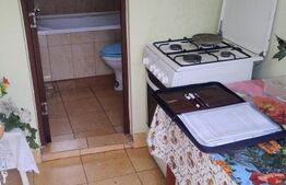  Oportunitate investițională – Casă cu teren extins in Comuna Geaca 