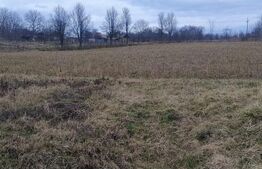  Oportunitate investițională – Casă cu teren extins in Comuna Geaca 