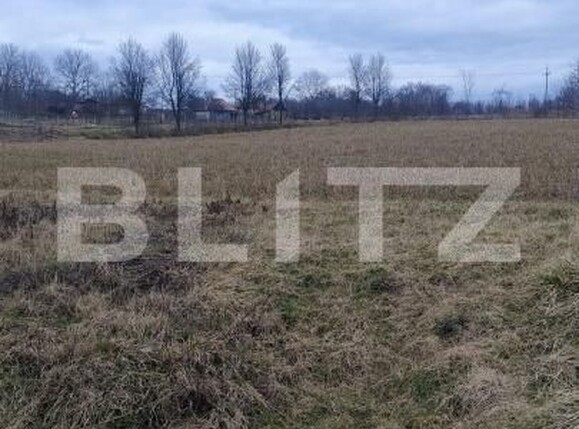 Casa de vânzare 4 camere Fizesu Gherlii  - 189069CV | BLITZ Dej | Poza17
