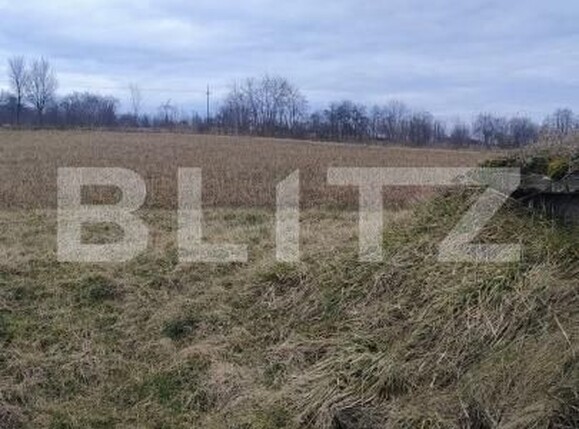 Casa de vânzare 4 camere Gherla - 189069CV | BLITZ Dej | Poza18