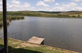 Oportunitate investițională-Proprietate cu lac privat in Geaca