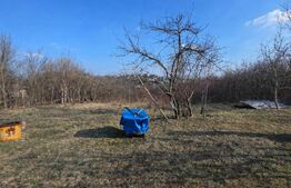 Teren generos cu casă – ideal pentru renovare sau dezvoltare - Zona centrala