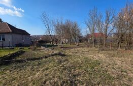 Teren generos cu casă – ideal pentru renovare sau dezvoltare - Zona centrala