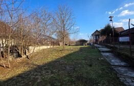 Teren generos cu casă – ideal pentru renovare sau dezvoltare - Zona centrala