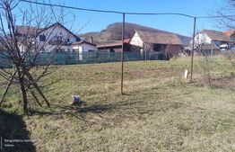 Casă spațioasă cu teren generos de 1447 mp în Șomcutu Mic – ideală pentru famili