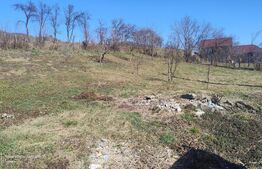 Casă spațioasă cu teren generos de 1447 mp în Șomcutu Mic – ideală pentru famili