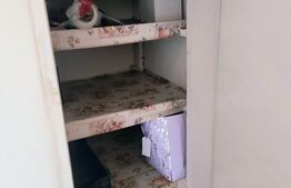 Apartament spațios 3 camere, 90 mp, Panticeu – ideal pentru familie