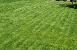 Proprietate ideală pentru locuință sau investiție