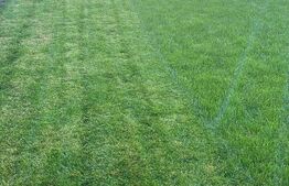 Proprietate ideală pentru locuință sau investiție