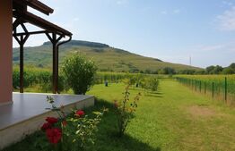 Vila în stil Californian | 220 mp utili | Teren 3000 mp | Priveliște Superba