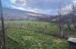 Casa de vanzare, 78 mp  + 8.200 mp teren - Dej