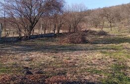 Casă spațioasă cu teren generos, de 3000 mp și priveliște superbă în Cuzdrioara 