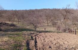 Casă spațioasă cu teren generos, de 3000 mp și priveliște superbă în Cuzdrioara 