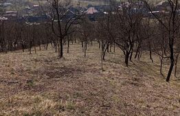 Casă spațioasă cu teren generos, de 3000 mp și priveliște superbă în Cuzdrioara 