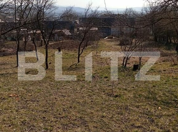 Casa de vânzare 4 camere Nord-Est - 191811CV | BLITZ Dej | Poza12