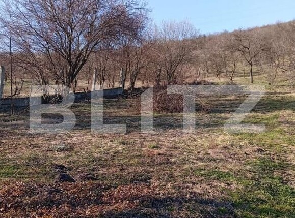 Casa de vânzare 4 camere Nord-Est - 191811CV | BLITZ Dej | Poza10