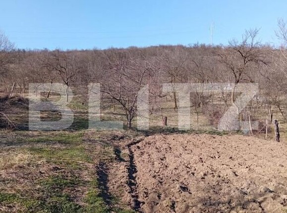 Casa de vânzare 4 camere Nord-Est - 191811CV | BLITZ Dej | Poza11