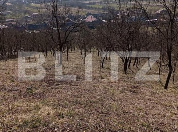 Casa de vânzare 4 camere Nord-Est - 191811CV | BLITZ Dej | Poza9