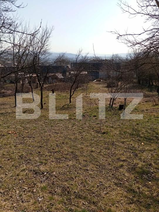 Casa de vânzare 4 camere Nord-Est - 191811CV | BLITZ Dej | Poza12