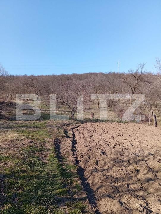 Casa de vânzare 4 camere Nord-Est - 191811CV | BLITZ Dej | Poza11