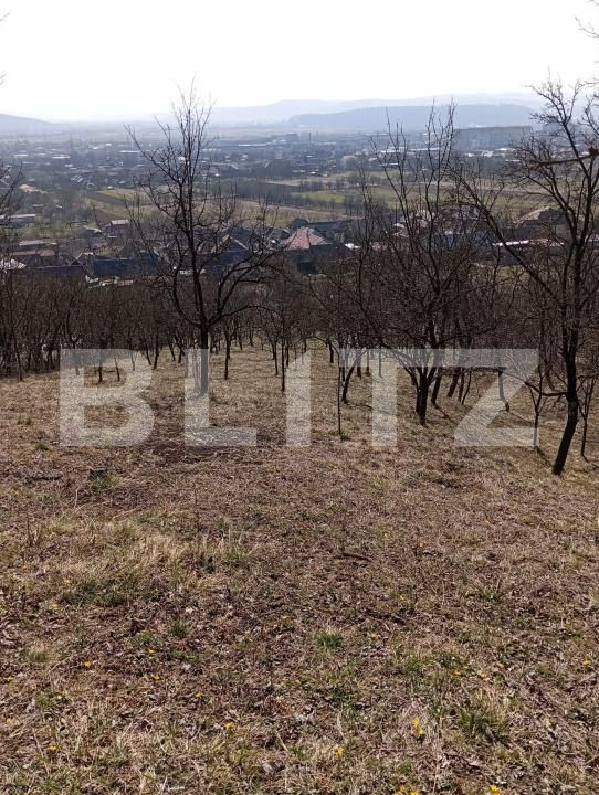 Casa de vânzare 4 camere Nord-Est - 191811CV | BLITZ Dej | Poza9