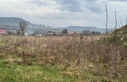 Teren Pentru Constructii 9292 mp- zona Cuzdrioara