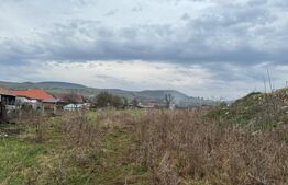 Teren Pentru Constructii 9292 mp- zona Cuzdrioara