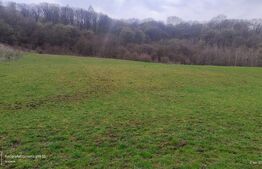 Teren superb 2.500 mp în Nicula – liniște, natură și priveliște de vis!